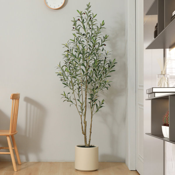 Primrue Adcock Faux Olive Tree in White Planter, Lifelike Fake Olive